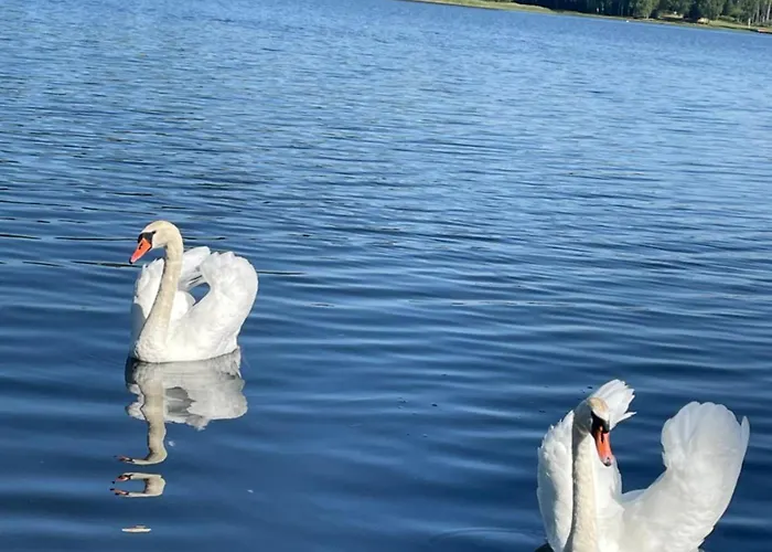 Valterkrasti